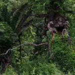 Πυροπροστασία 2026: Το Υπουργείο Εσωτερικών ενισχύει τους δήμους με 50 εκατ. ευρώ