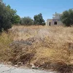 Ακαθάριστα οικόπεδα: Από 1η Απριλίου ξεκινά η προθεσμία καθαρισμού – Τι αλλάζει από φέτος