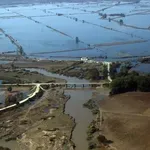 Δυτική Ελλάδα: Τα έντονα και επίμονα καιρικά φαινόμενα συσχετίζονται με την κλιματική αλλαγή