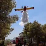 Φωτιά τώρα σε δασική έκταση στον Αυλώνα Μεσσηνίας – Σηκώθηκαν 3 εναέρια μέσα