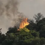 Ρόδος: Υπό έλεγχο η πυρκαγιά στην Ελεούσα
