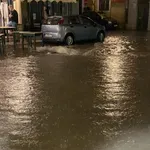 Αλέξανδρος Δήμου στον Alpha Radio 98,9 «Στη Βόρεια Κέρκυρα τα σημαντικότερα προβλήματα από την κακοκαιρία»