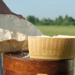 Δεν θα πιστέψετε ποιος υπέγραψε συμβόλαιο στο Χόλιγουντ