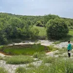 Πολύτιμες οι λούτσες που κρατούν νερό για τη μετακινούμενη κτηνοτροφία – Πρόγραμμα για την ανάδειξή τους