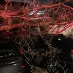 Τι αφήνει πίσω της η Adel στη Αττική – Δέντρο πλάκωσε παρκαρισμένα οχήματα (Βίντεο)