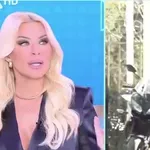 Κατερίνα Καινούργιου για Δήμητρα Ματσούκα: «Την έχω πατήσει κι εγώ στο παρελθόν»