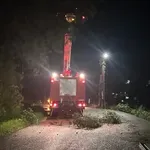 Αγγελόκαστρο Αγρινίου: Δέντρο έπεσε σε ηλεκτροφόρα καλώδια λόγω της κακοκαιρίας (Βίντεο)