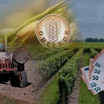 Αγρίνιο: 38 παραγωγοί καταδικάστηκαν για απάτη σε βάρος του ΟΠΕΚΕΠΕ για τα βοσκοτόπια στα Κύθηρα