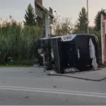 Βόλος: Αδέσποτος σκύλος «ανέτρεψε» το λεωφορείο στον Ριζόμυλο – 12 γυναίκες τραυματίες, τι αναφέρουν αυτόπτες μάρτυρες