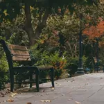 Το Αίνιγμα του Φθινοπώρου: Γιατί τα φύλλα αλλάζουν χρώμα;