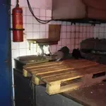 Πρόστιμο 1,7 εκατ. ευρώ σε κάτοικο της Δονούσας – Είχε φυλακίσει και βασάνιζε 58 γάτες (Βίντεο)