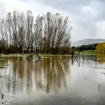 Κακοκαιρία: Μήνυμα του 112 στη Ροδόπη – Κίνδυνος υπερχείλισης ποταμών σε Μελέτη και Ήφαιστο