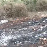 Θρίλερ στη Βοιωτία: «Καλοσχεδιασμένη δολοφονία» βλέπουν οι αρχές