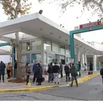 ΑΧΕΠΑ: Ζευγάρι έφαγε μανιτάρια και νοσηλεύεται με οξεία ηπατική ανεπάρκεια (Βίντεο)