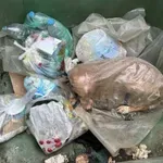 Ντροπιαστική εικόνα στη Μεγαλόπολη: Πέταξαν ζωντανή σκυλίτσα στα σκουπίδια μέσα σε τσουβάλι (Φωτό)