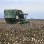 Τα αδύναμα σημεία του ελληνικού πρωτογενούς τομέα πίσω από τους αριθμούς – Χαμένη προστιθέμενη αξία: εξαγωγές χωρίς ταυτότητα – Αγρότες «πελάτες-ψηφοφόροι» και αδιαφάνεια