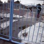 Κακοκαιρία Byron: Κλειστά όλα τα σχολεία της Αττικής την Παρασκευή – H απόφαση της Περιφέρειας