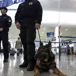 «Λαβράκι» στο Ελ. Βενιζέλος: Σύλληψη 29χρονης για εξαγωγή skunk στο Ηνωμένο Βασίλειο – Είχε κρύψει 24,5 κιλά κάνναβης στις αποσκευές