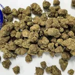 Βόλος: 19χρονος λιποθύμησε μετά από κατανάλωση χαπιών, αλλά συνελήφθη για χασίς