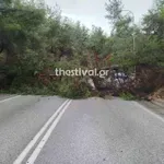 Θεσσαλονίκη: Ισχυροί άνεμοι με δεκάδες κλήσεις στην Πυροσβεστική για πτώσεις δέντρων