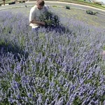 ΤΕΕ: Πράσινα υλικά και πράσινα επαγγέλματα οδηγούν σε πιο φιλικές στο περιβάλλον κατασκευές και κτίρια