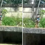Άνδρας πήδηξε σε κλουβί με λιοντάρι – Τον έφαγε ζωντανό μπροστά στα μάτια των επισκεπτών (Βίντεο)