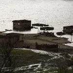 Λειψυδρία στην Αττική:  Στεγνώνουν οι λίμνες Μόρνου και Υλίκης – Γιατί οι βροχές δεν αρκούν – Τι δείχνουν οι αυτοψίες της ΕΥΔΑΠ (Βίντεο)