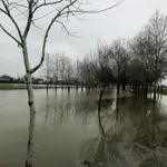 Θεσσαλία: Κοντά στα όρια υπερχείλισης ο Πηνειός (Βίντεο)