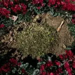 Θεσσαλονίκη: Βανδαλισμός στη Νέα Παραλία – Ξήλωσαν την πλάκα για τα θύματα γυναικοκτονιών