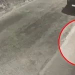 Ο… ποντικός των Βορείων Προαστίων: Πώς η σπείρα άδειαζε βίλες φτάνοντας το 1 εκατ. ευρώ (Βίντεο)