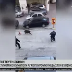 Απίστευτο σκηνικό στον Εύοσμο: Αστυνομικοί κυνηγούν… αγριογούρουνο (Βίντεο)