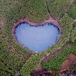 Σκοτώνουμε τον πλανήτη και ο πλανήτης σκοτώνει εμάς – Οι περιβαλλοντικοί κίνδυνοι για την καρδιά μας