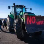 Βλαπτική για τον Αμαζόνιo αλλά και το… πιάτο μας η συμφωνία με τη Mercosur, λέει η Greenpeace