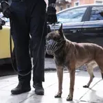 Σέρρες: Πήγε να παραλάβει δέμα με «σοκολάτα» και τον «τσάκωσε» ο… Roxy (Φωτό)