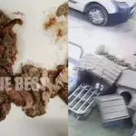 Πάτρα: Ποντικοφάρμακο και γυαλιά σε κιμά, έξω από pet shop- Δυο νεκρά γατάκια (φωτό & βίντεο)