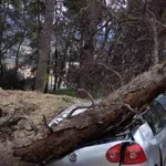 Θυελλώδεις άνεμοι «σφυροκοπούν» την Πάτρα: Καταστροφές, τροχαία, απαγορευτικό και κλειστά σχολεία