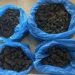 Ηλεία: Χειροπέδες σε άνδρα που διακινούσε κάνναβη στην περιοχή