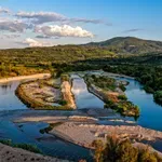 Σοκ στην Ηλεία: Δεκάδες νεκρά πρόβατα στον Αλφειό – Σε εξέλιξη εισαγγελική έρευνα