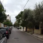 Αιγάλεω: Καταγγελία για επίθεση λύκου κοντά σε σχολείο – Αναστάτωση μετά και το περιστατικό στην Πετρούπολη