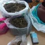 Ηλεία: Έκρυβε σπίτι του πάνω από ένα κιλό κάνναβη (Φωτό)