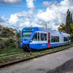 Hellenic Train: Διακοπή σιδηροδρομικής κυκλοφορίας στο τμήμα Σίνδος – Θεσσαλονίκη λόγω πτώσης δέντρου