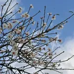 Ο καιρός της Τετάρτης: Ηλιοφάνεια, τοπικές βροχές στα ανατολικά και θυελλώδεις άνεμοι στο Αιγαίο