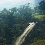 Κολομβία: Οι ΗΠΑ πιέζουν για επανεκκίνηση των αεροψεκασμών με ζιζανιοκτόνο για τα φύλλα κόκας