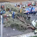 Πτώση μεγάλου δέντρου στο Φάληρο: Γλίτωσαν από τύχη στη λαϊκή της οδού Ζαΐμη – Ζημιές σε βαν