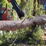 Ο Βαρδάρης «σαρώνει» τη Θεσσαλονίκη – Δεκάδες κλήσεις δέχθηκε η Πυροσβεστική, προβλήματα στις συγκοινωνίες