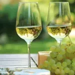 Από 13 έως 16 Μαρτίου θα πραγματοποιηθεί η έκθεση κρασιού Οινόραμα στο Onassis Ready