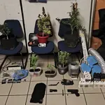 ΕΛ.ΑΣ: Εντοπίστηκε εργαστήριο καλλιέργειας κάνναβης σε σπίτι στη Νέα Χαλκηδόνα