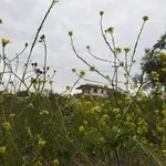 Καλλιάνος: «Πρώτες ενδείξεις για ψυχρό και άστατο σκηνικό» τις ημέρες του Πάσχα