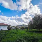 Μέτωπο ψύχους και αστάθειας τον Μάρτιο «δείχνουν» τα Μερομήνια