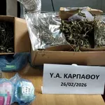 Κάρπαθος: 43χρονος καλλιεργούσε υδροπονική κάνναβη στο σπίτι του